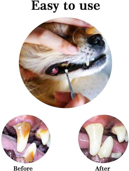 how to get rid of yellow teeth on dogs