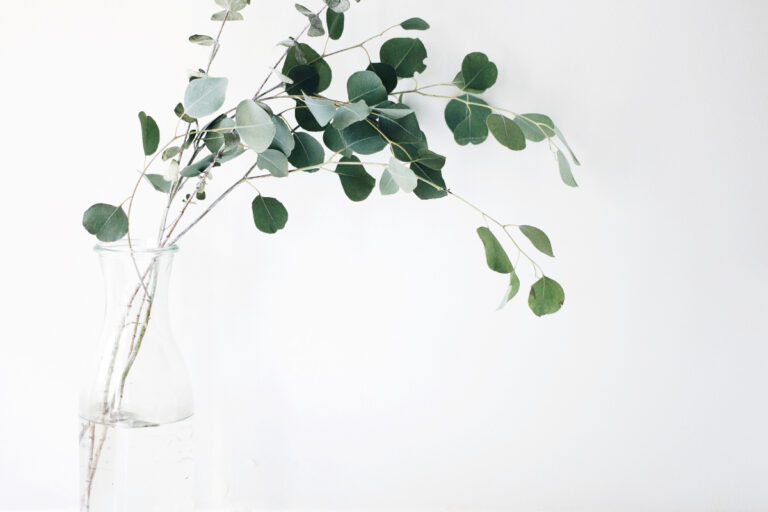 how to become a minimalist