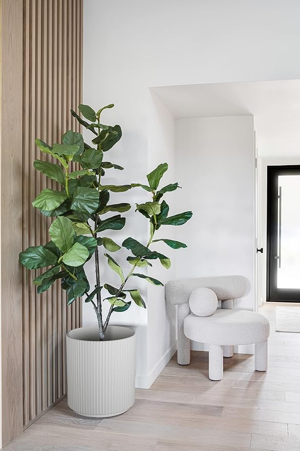 cheap amazon home decor