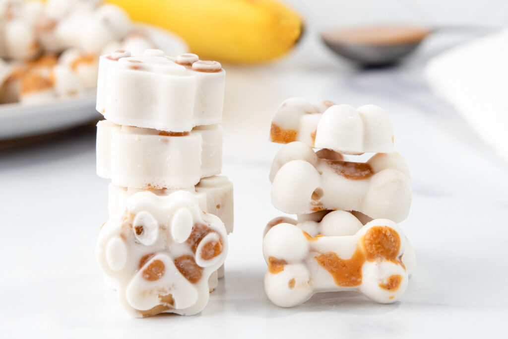 healthy homemade dog treats recipes