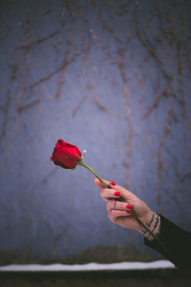 simple Valentine's Day nails