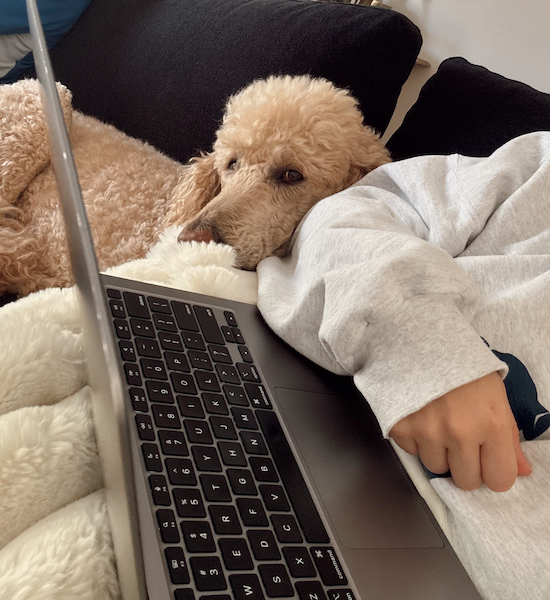 blogging in 2026